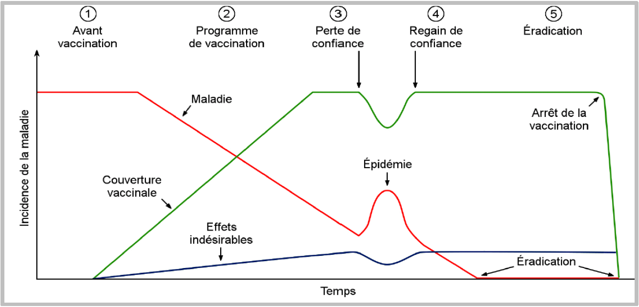 Le schéma montre le taux d'incidence d'une maladie par rapport aux stades d'un programme de vaccination, allant de l'ère prévaccinale à l'éradication de la maladie.